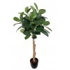 Ficus Elastica Topiary 150 cm Green V5426013