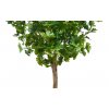 Gynkgo Topiary 150 cm Green V1087004a