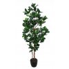 Jackfruit Tree 170 cm Green V5443004