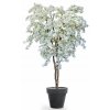 Jasmine Twisted Tree 240 cm White V5563001