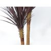 Yucca Linearis Set x 2 160 cm Burgundy 4232B04a
