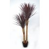 Yucca Linearis Set x 2 160 cm Burgundy 4232B04