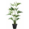 Kentia Palm w Pot 240 cm Green V4533GRN