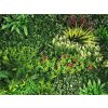 Vegetatie colorful jungle plantenwand detail