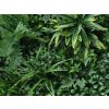 Panel Wall Jungle Green FR (100x100cm)  ohnivzdornost B1