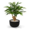 184609 parlour palm 95 op voet martinique 45 shiny black