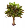 Umělý strom Croton - na kmeni  (65cm)
