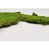 Flat moss Rock 2