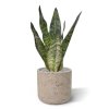 sansevieria kunstplant 30 cm groen 140503gr 2