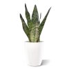 sansevieria kunstplant 30 cm groen 140503gr 3