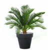 Cycas Plant 40 cm Green V5643GRN