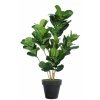 Ficus Lyrata Plant 120 cm Green V5621GRN