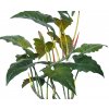 Philodendron Opal 250 cm Green V5609GRN detail