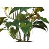 Philodendron Opal Lux 290 cm Green V5609001 detail