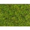 kunstmos groen moswand 50x50cm mat Kunsthaagvoordeel detail1