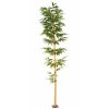 Bamboo Medium Single Tree 350 cm Green 1074013