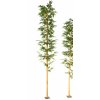 Bamboo Medium Single Tree cm 420 Green 1074014