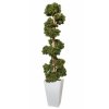 Boxwood Mini Pluriball 230 cm Green V5639001