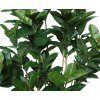 Ficus Elastica Flexy Bush 180 cm Green V5620G01 zeleny