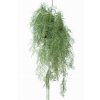 Hanging Sprengeri 110 cm Green 5616001