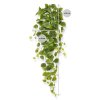 208708 philodendron 80 groen maat