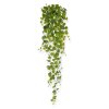 208713 philodendron 130 groen