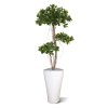 panda bonsai kunstboom 140 cm 108114 3