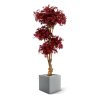 acer bonsai deluxe kunstboom 170 cm burgundy 153318 5