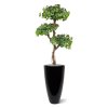 ginkgo bonsai kunstboom 150 cm 154315 2