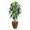 philodendron deluxe kunstboom 170 cm 152317 2