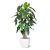 philodendron deluxe kunstboom 170 cm 152317 4