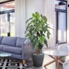 philodendron deluxe kunstboom 170 cm 152317 7