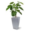 pothos deluxe kunstplant 90 cm 131109 4