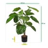 pothos deluxe kunstplant 90 cm 131109 6