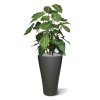 syngonium deluxe kunstplant 85 cm 151285 2