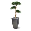 podocarpus kunst bonsai 120 cm 150412 4
