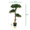 podocarpus kunst bonsai 120 cm 150412 6