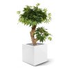 acer kunst bonsaiboom 60 cm groen 153206 4 1