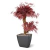 acer kunst bonsaiboom 60 cm burgundy 153306 5