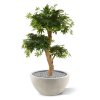 acer bonsai kunstboom 95 cm groen 153209 3