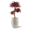 acer bonsai kunstboom 95 cm burgundy 153309 4