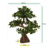 panda bonsai 70 cm op voet 108007 9