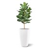 lyrata royal kunstplant 90 cm 102609 2