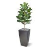 lyrata royal kunstplant 90 cm 102609 4