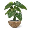 alocasia calidora kunstboeket 70 cm 152007 5 3