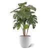 monstera deluxe kunstboom 140 cm 151114 3 3