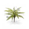 408103 asplenium varen boeket 35 maat 1 1