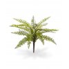 408103 asplenium varen boeket 35 3