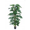 Split Philo Climber w pot 180 cm Green 5438GRN