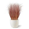 grasboeket 60 cm rood 410606 2 2